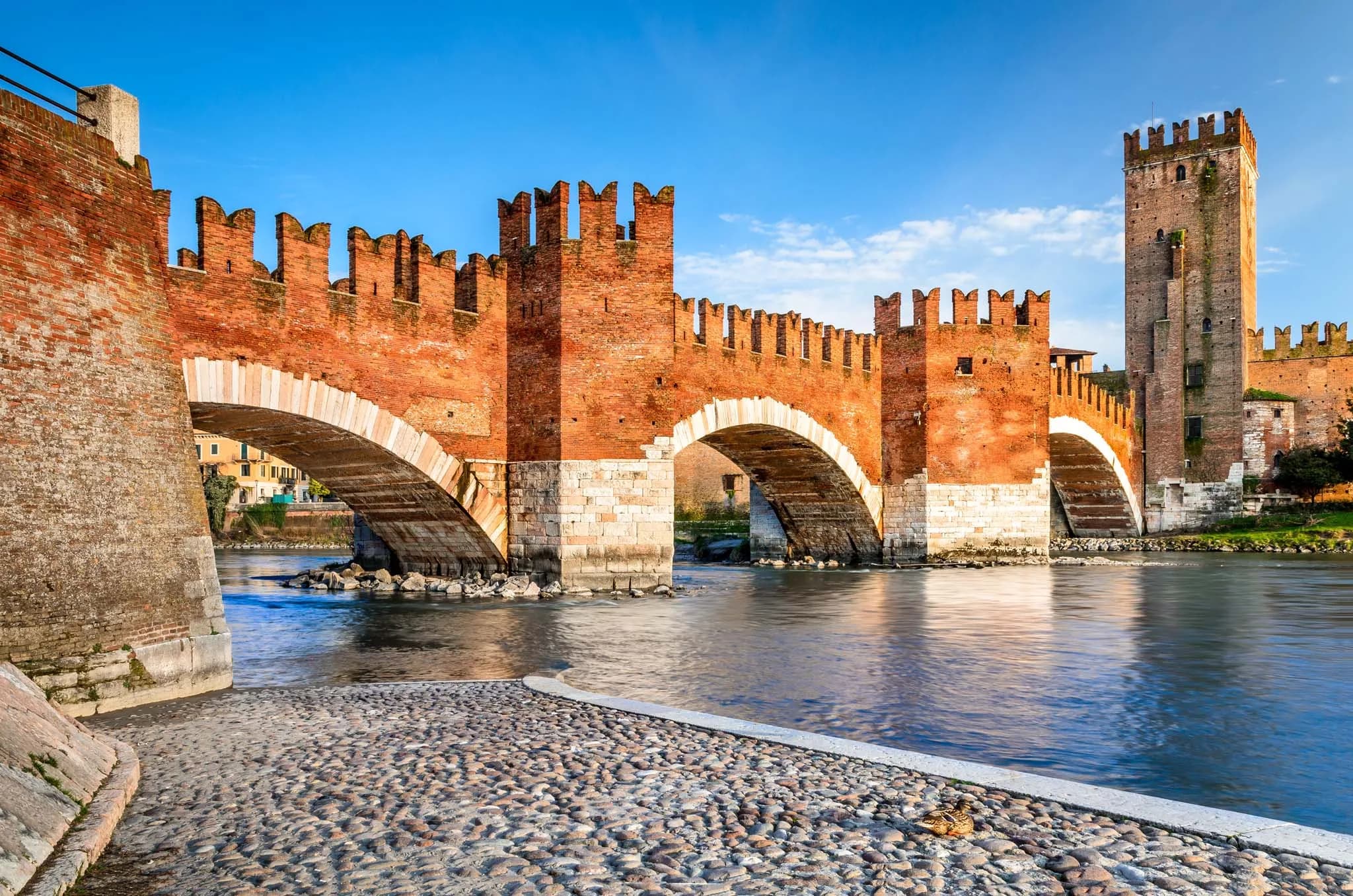 Immobiliare Borgo Milano chi siamo